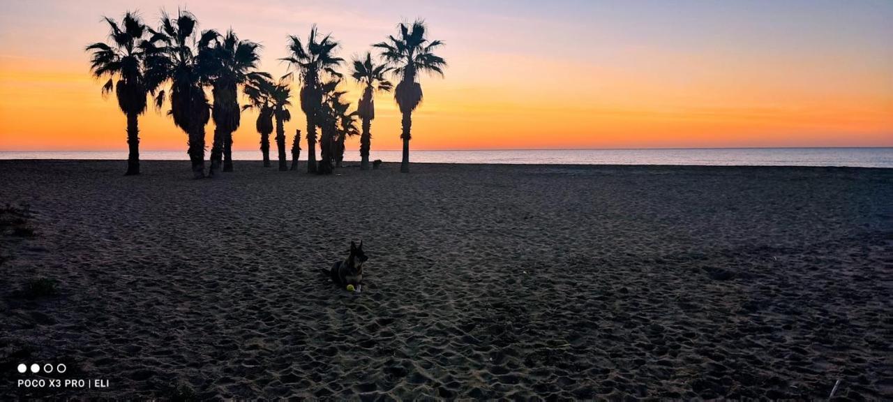 Encantador Apto En La Playa โกมาร์รูกา ภายนอก รูปภาพ